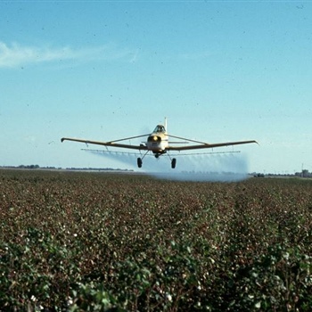 12-Spraying-Cotton-by-Plane